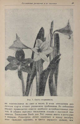 Винтер Н.А., Каминский Н.Р. Растения для уголков живой природы / Ботанический ин-т АН СССР. М.; Л., 1937.